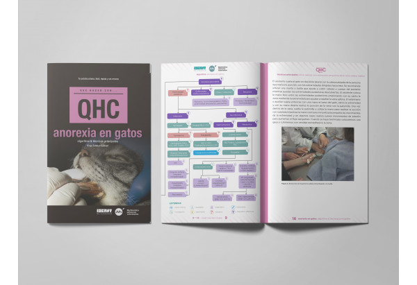 Revista QHC Anorexia en gatos -Que Hacer Con... veterinaria