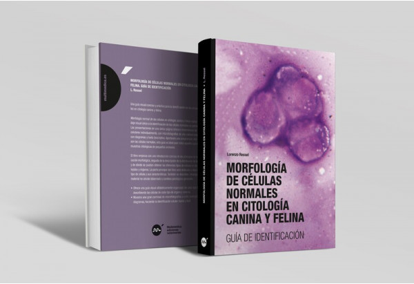 Morfología de células normales en citología canina y felina: guía de identificación